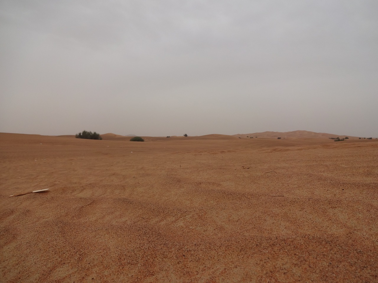 sahara desert sand free photo