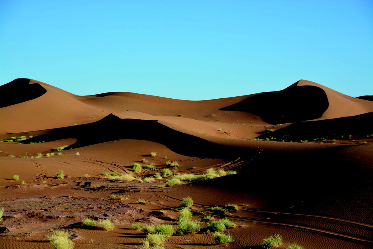 sahara sunrise dunes free photo