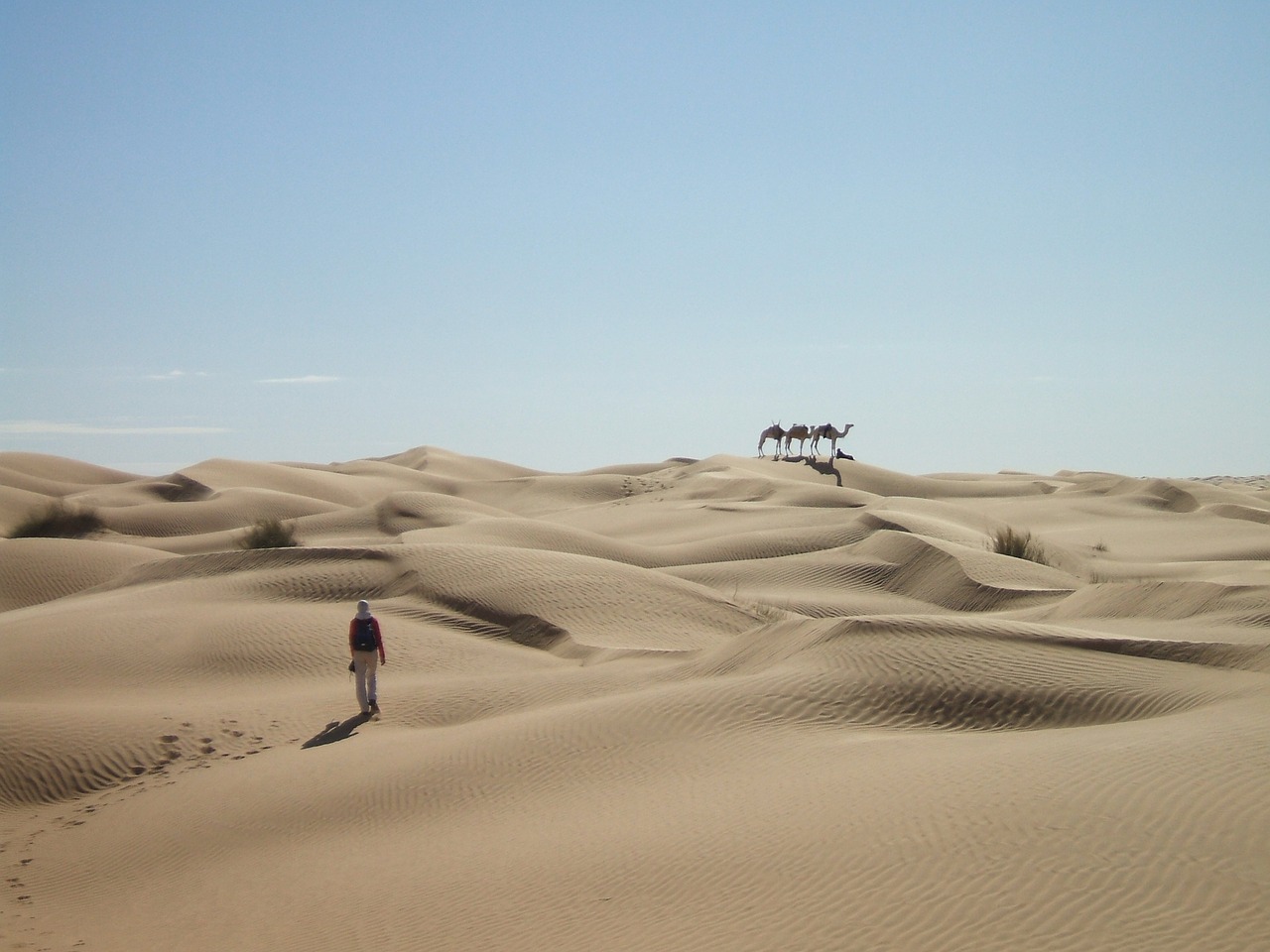 sahara desert sand free photo