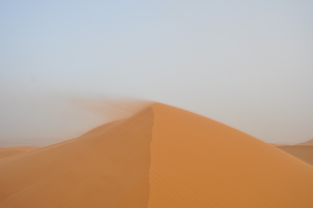 sahara desert sand free photo