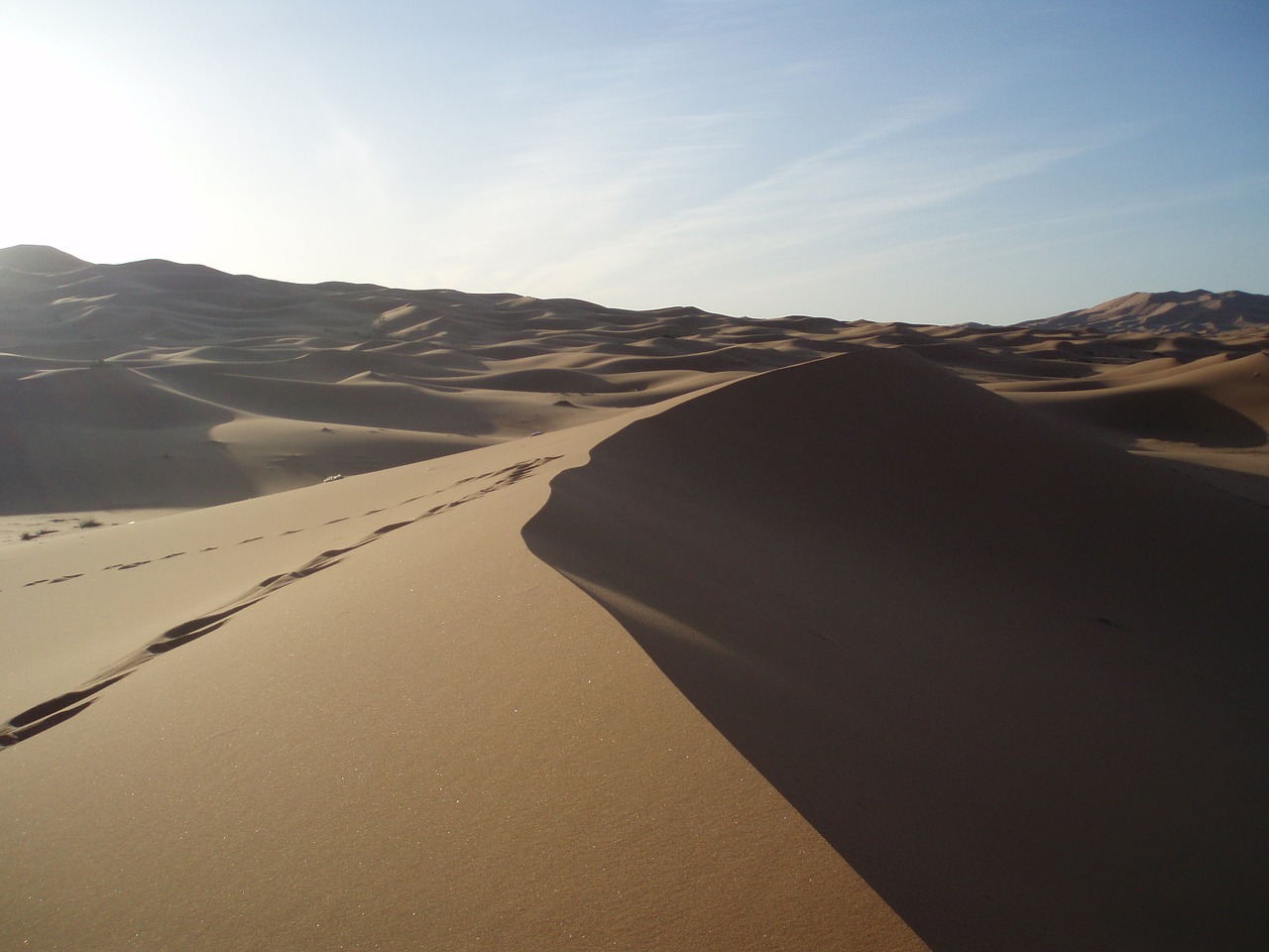 sahara desert sand free photo