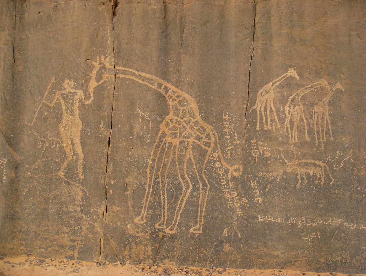 sahara tassili cave paintings free photo