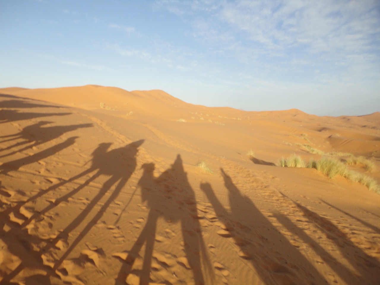 sahara desert sand shadow free photo
