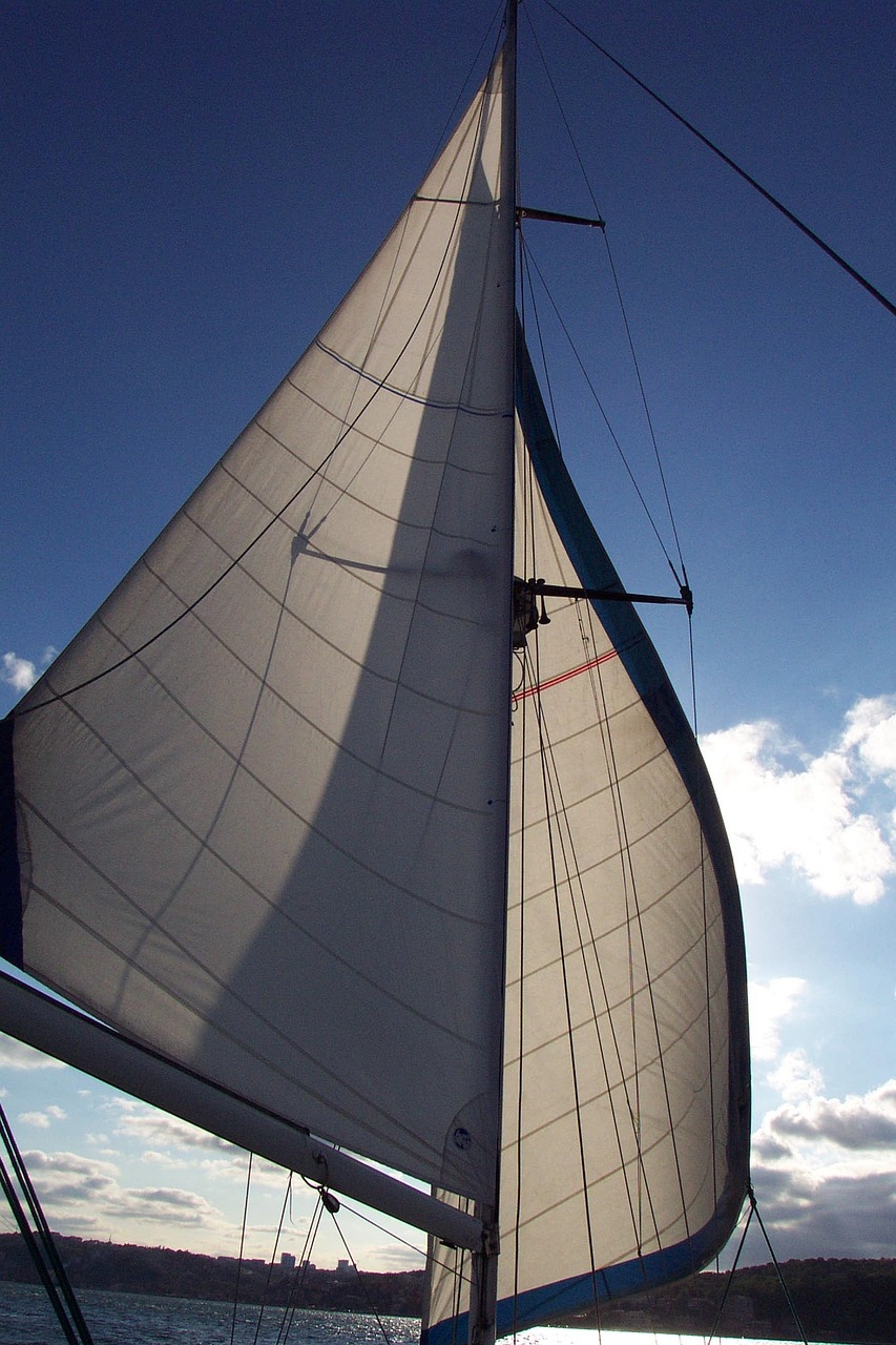 sail istanbul bosphorus free photo