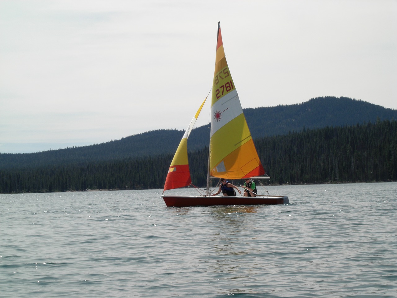 sail sailboat lake free photo