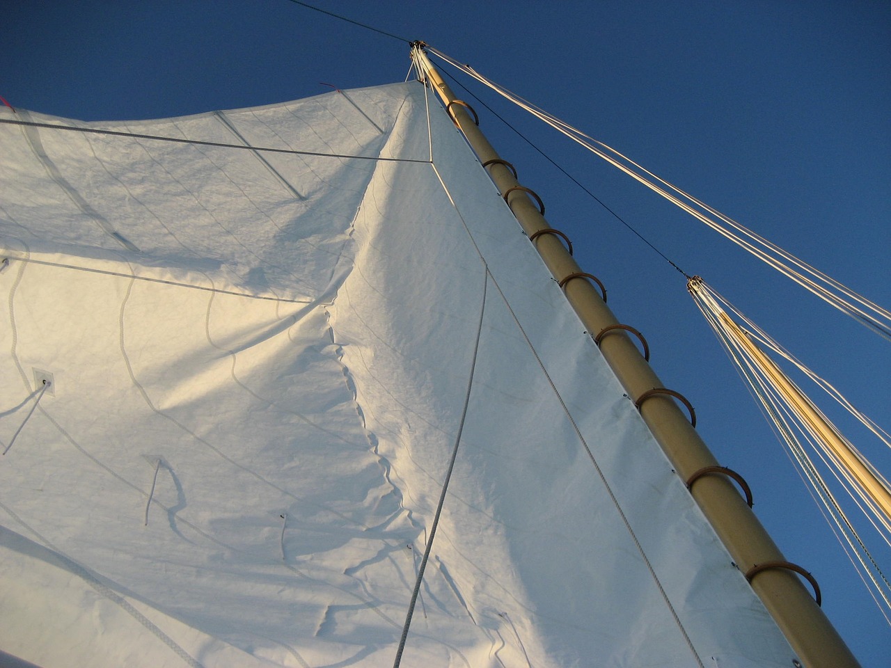 sail sailing vessel wind free photo