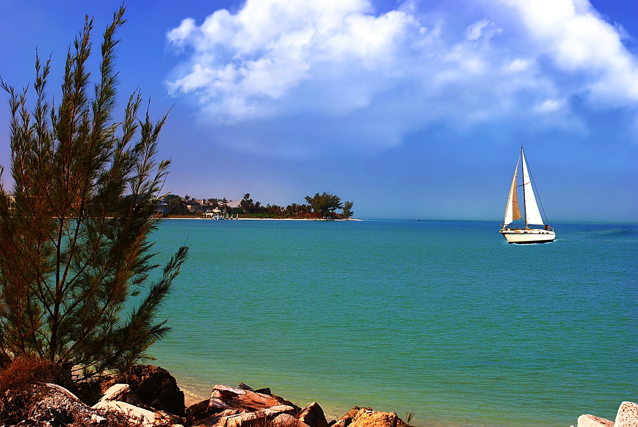 sail boat southwest florida free photo