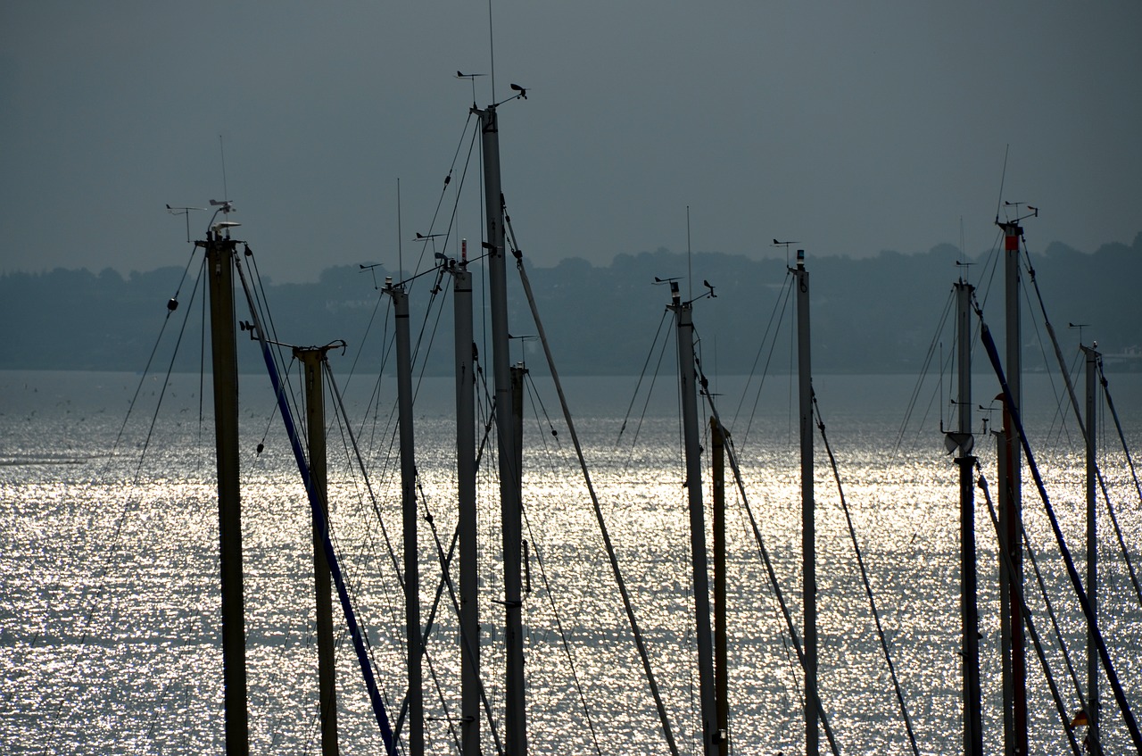 sail sea sailing vessel free photo