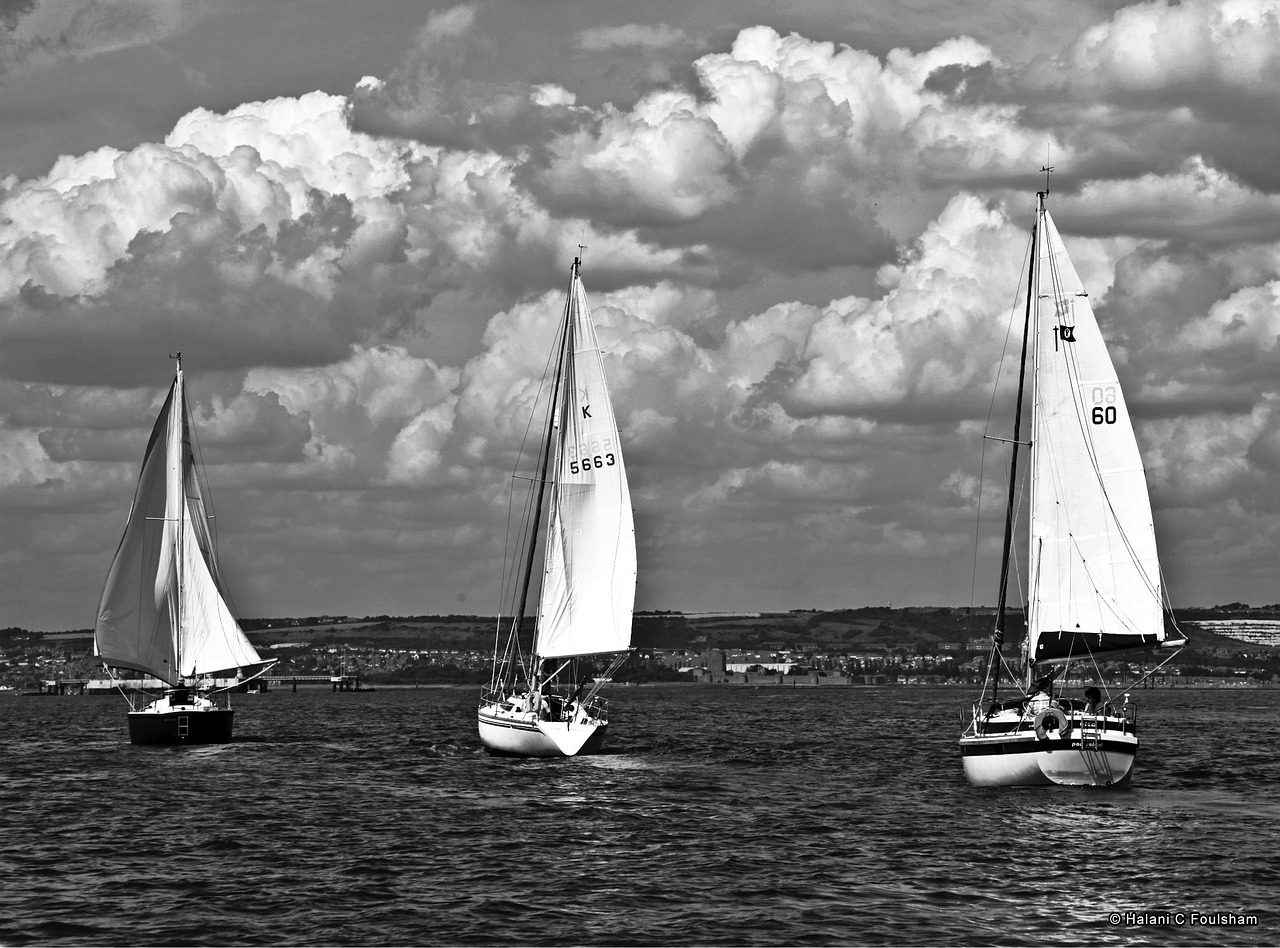 sail sea sky free photo