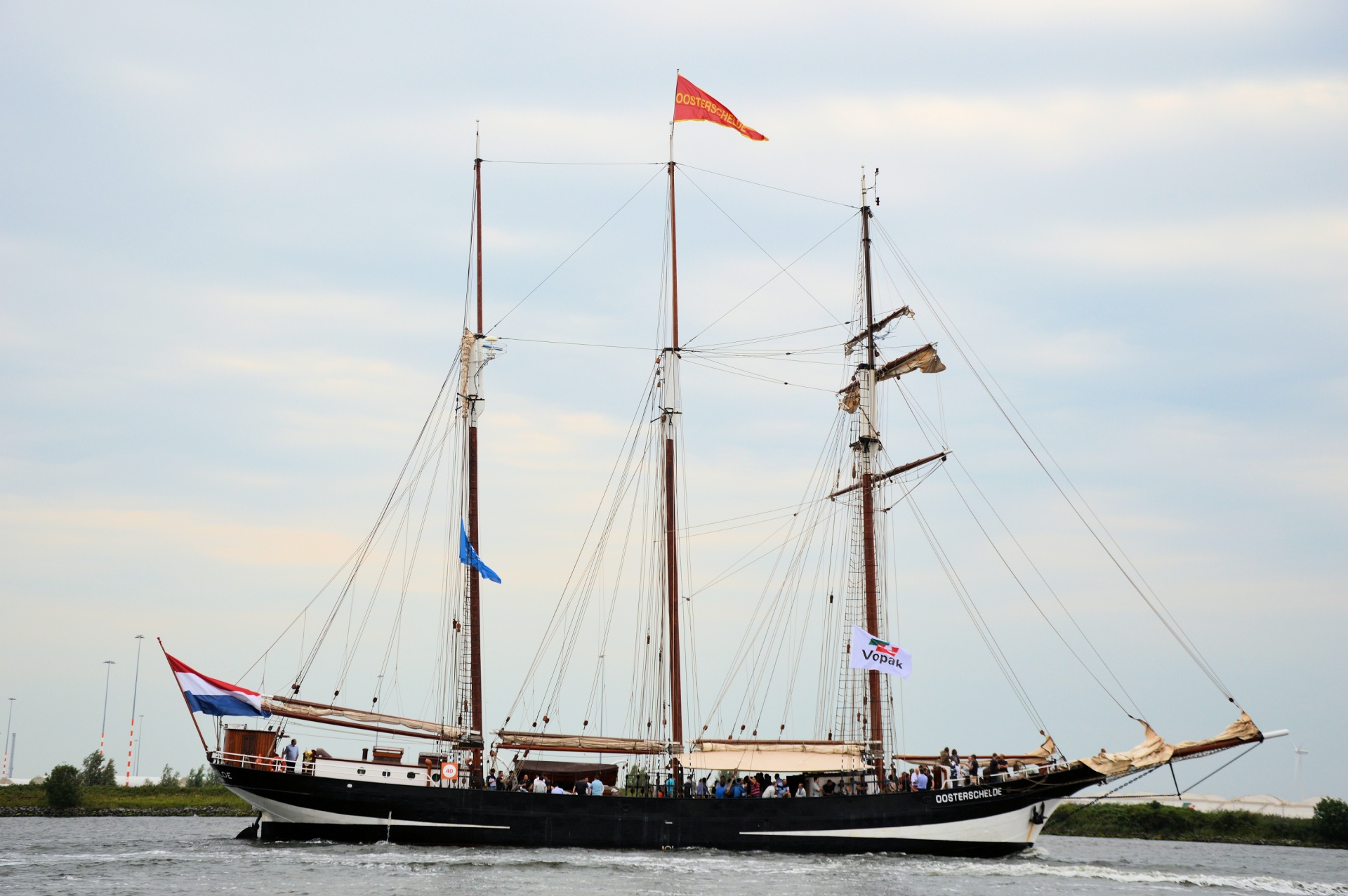 sail sail 2015 amsterdam sail free photo