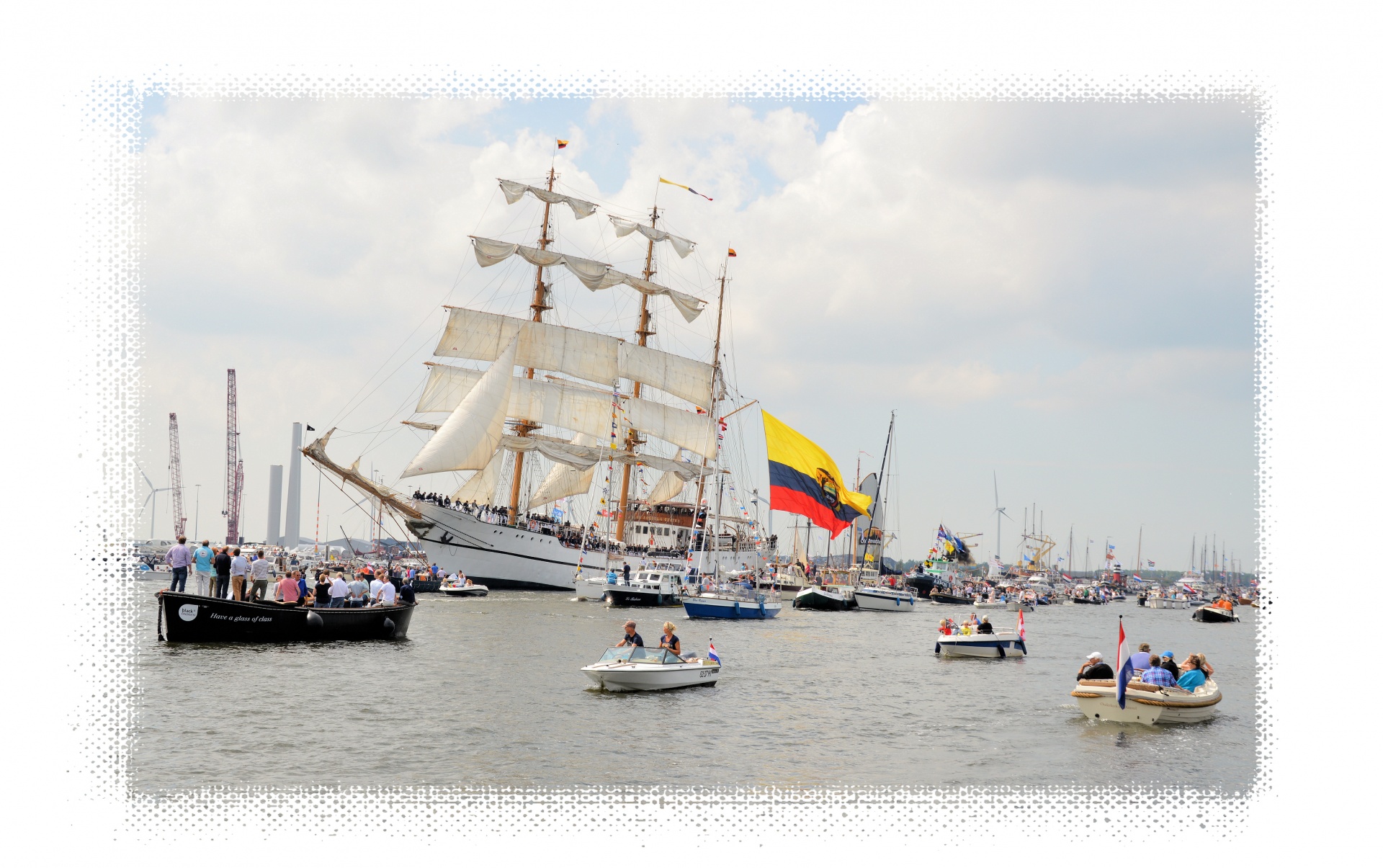 sail sail 2015 amsterdam sail free photo