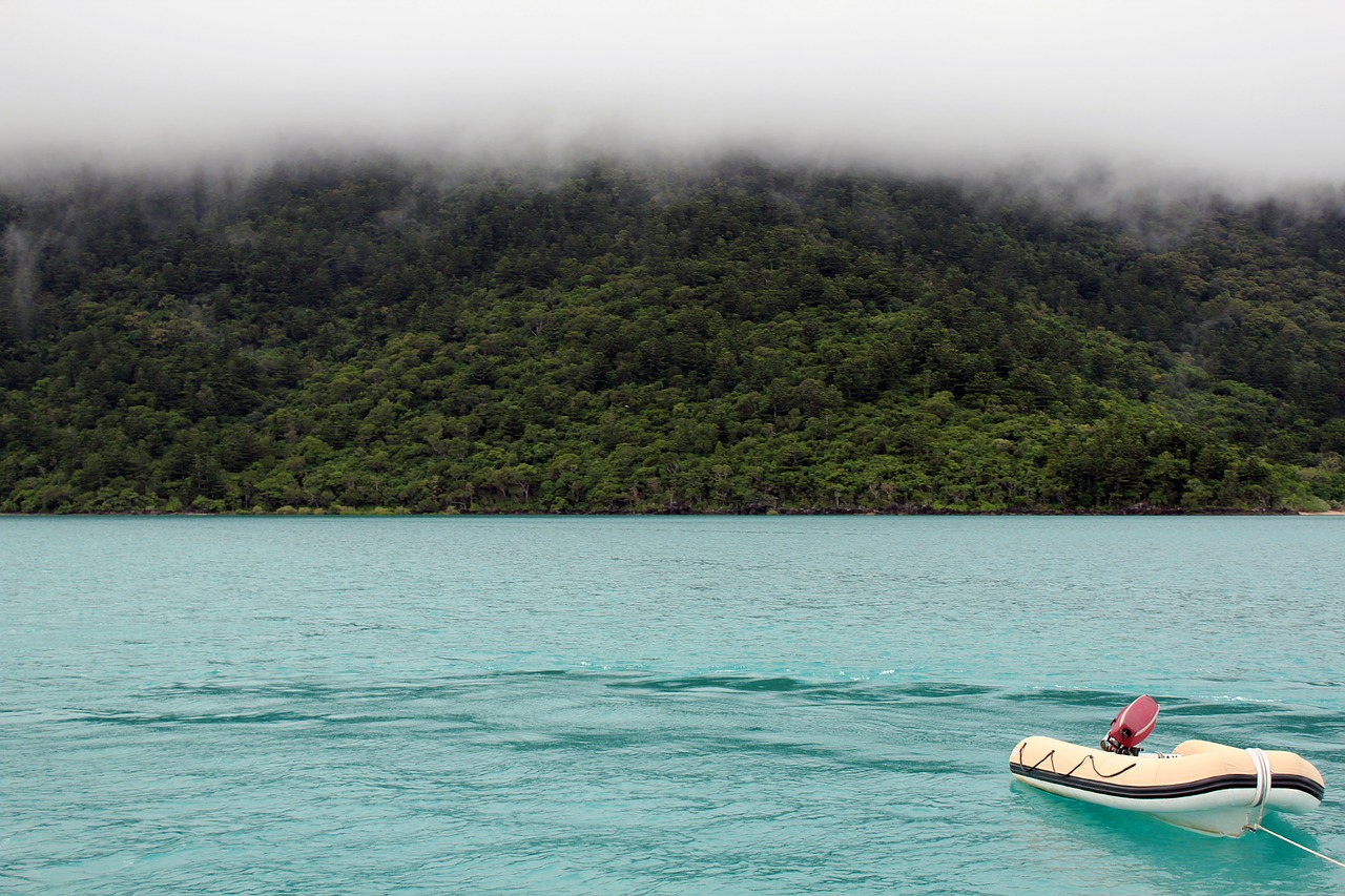 sail dinghy sea free photo