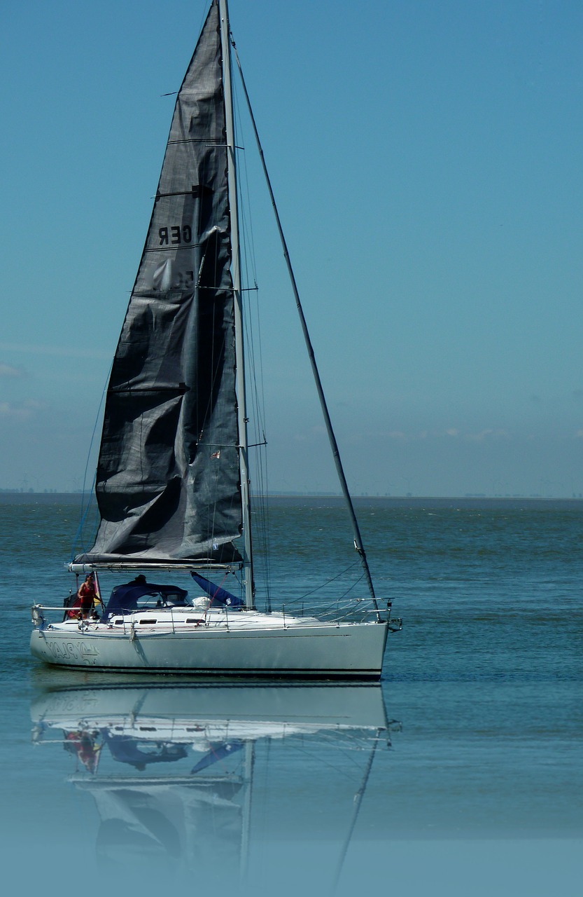 sail sailing water sports free photo