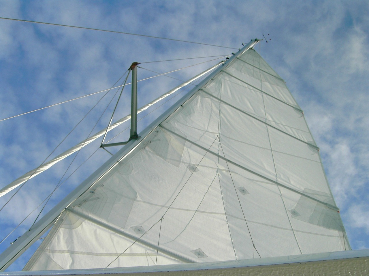 sail sailing boat wind free photo