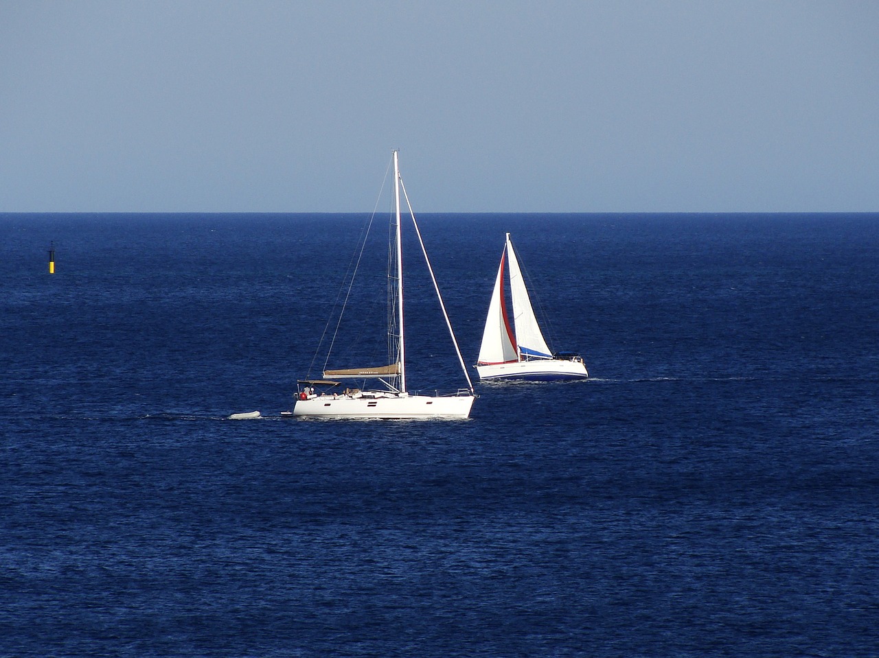 sail sail boat sailboat free photo