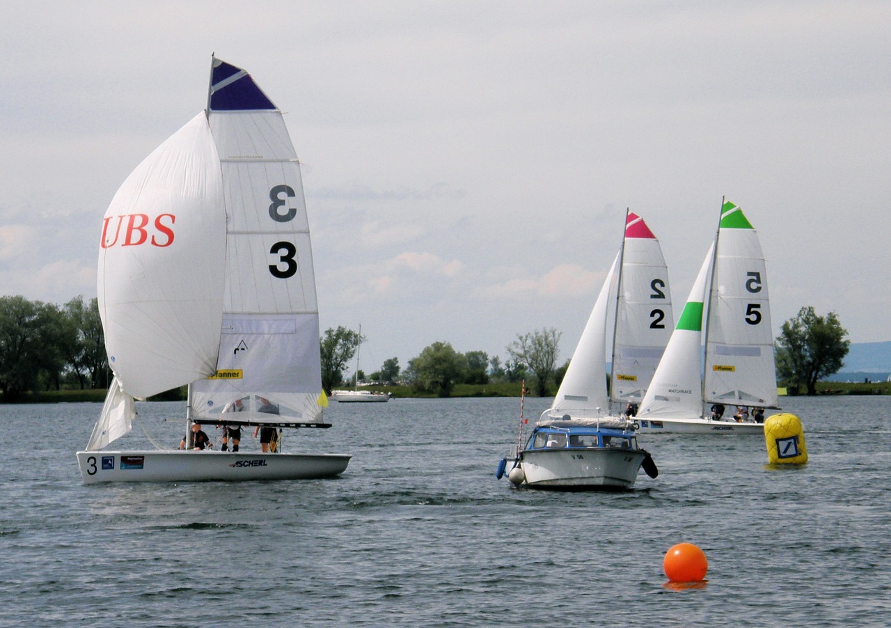 sail regatta competition free photo