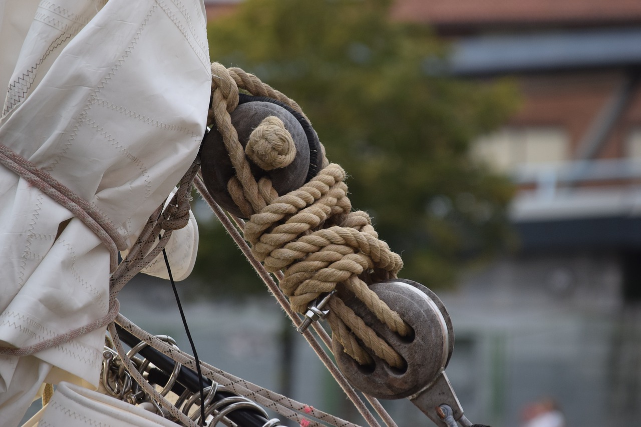 sail sea boat free photo