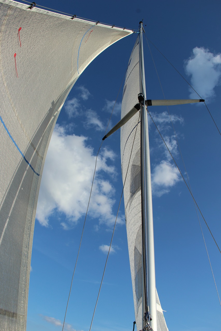 sail sailing mast sky free photo