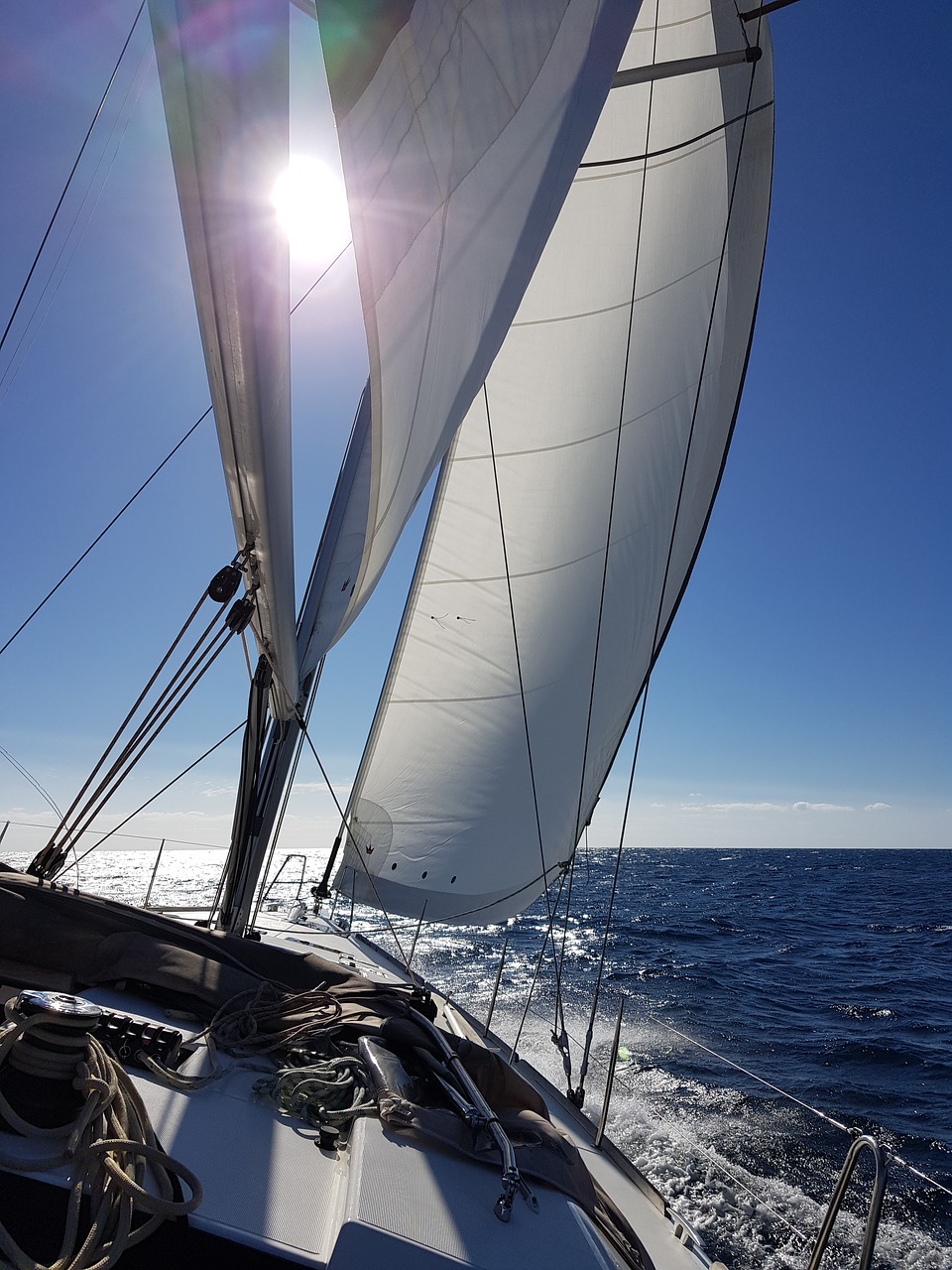 sail  sailing yacht  railing free photo