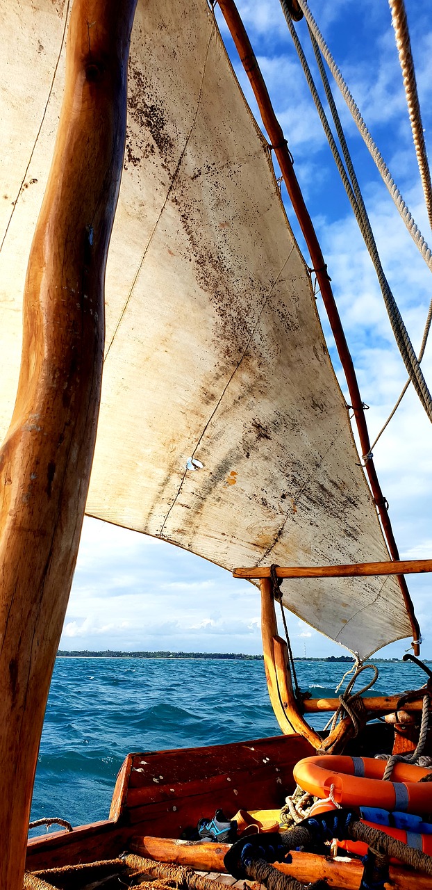 sail  dhow  water free photo