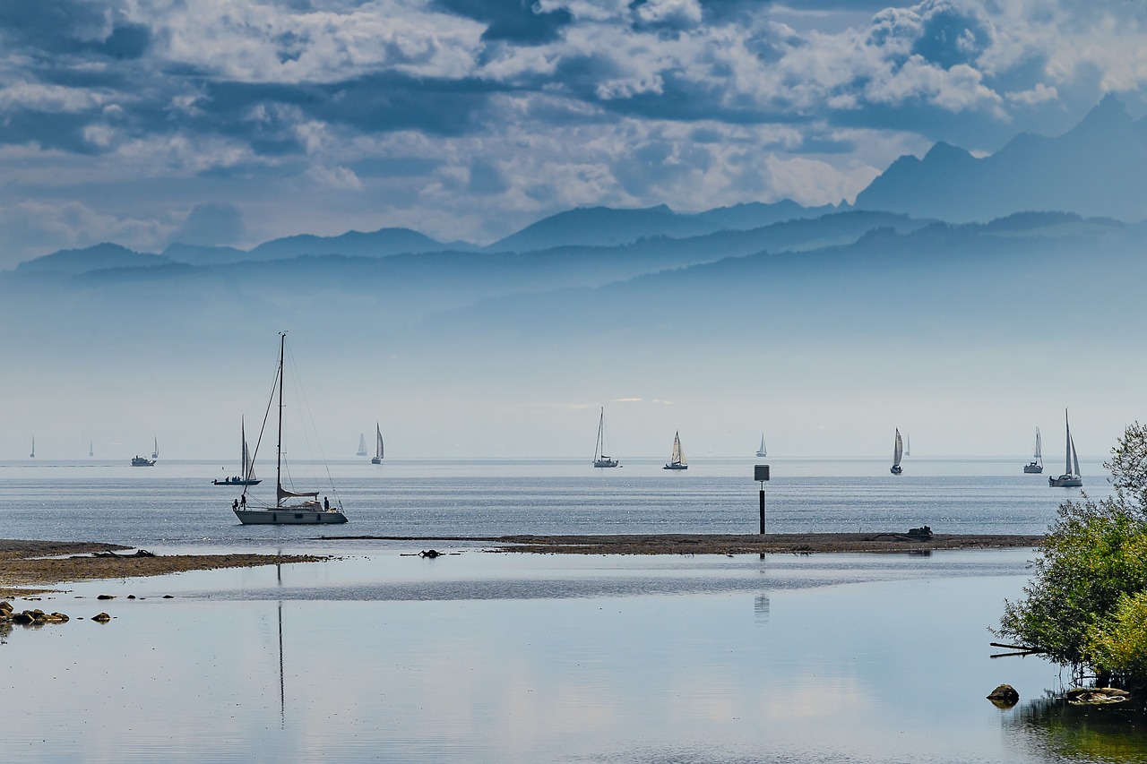 sail  sailing boats  wind free photo