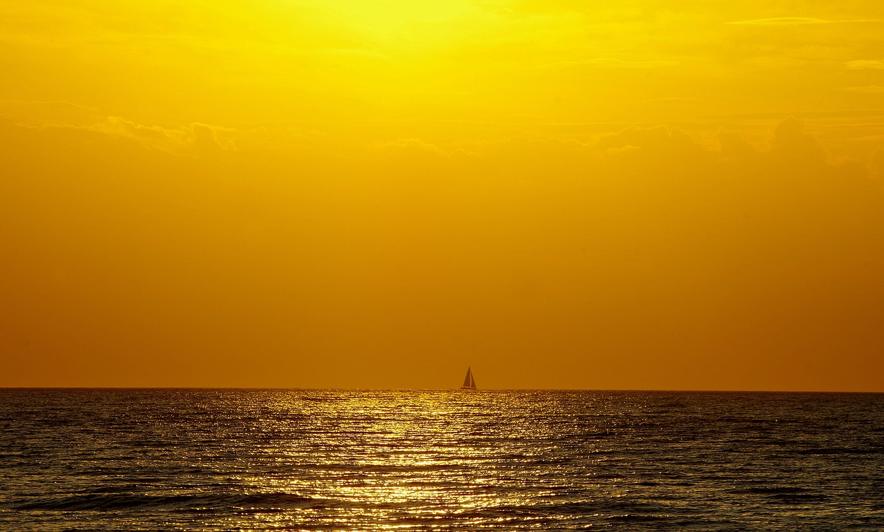 sail  horizon  orange free photo