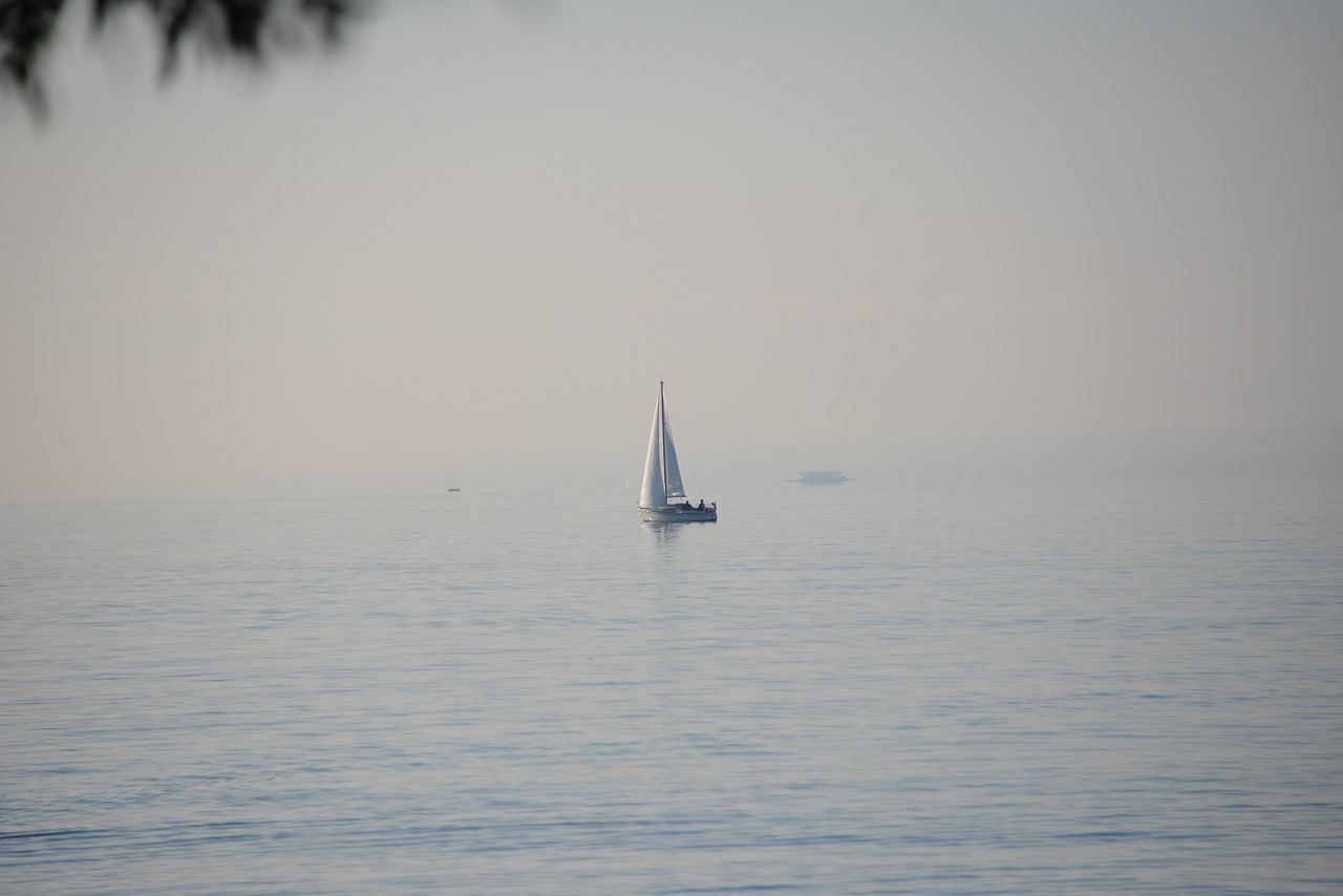 sail sailing lake free photo