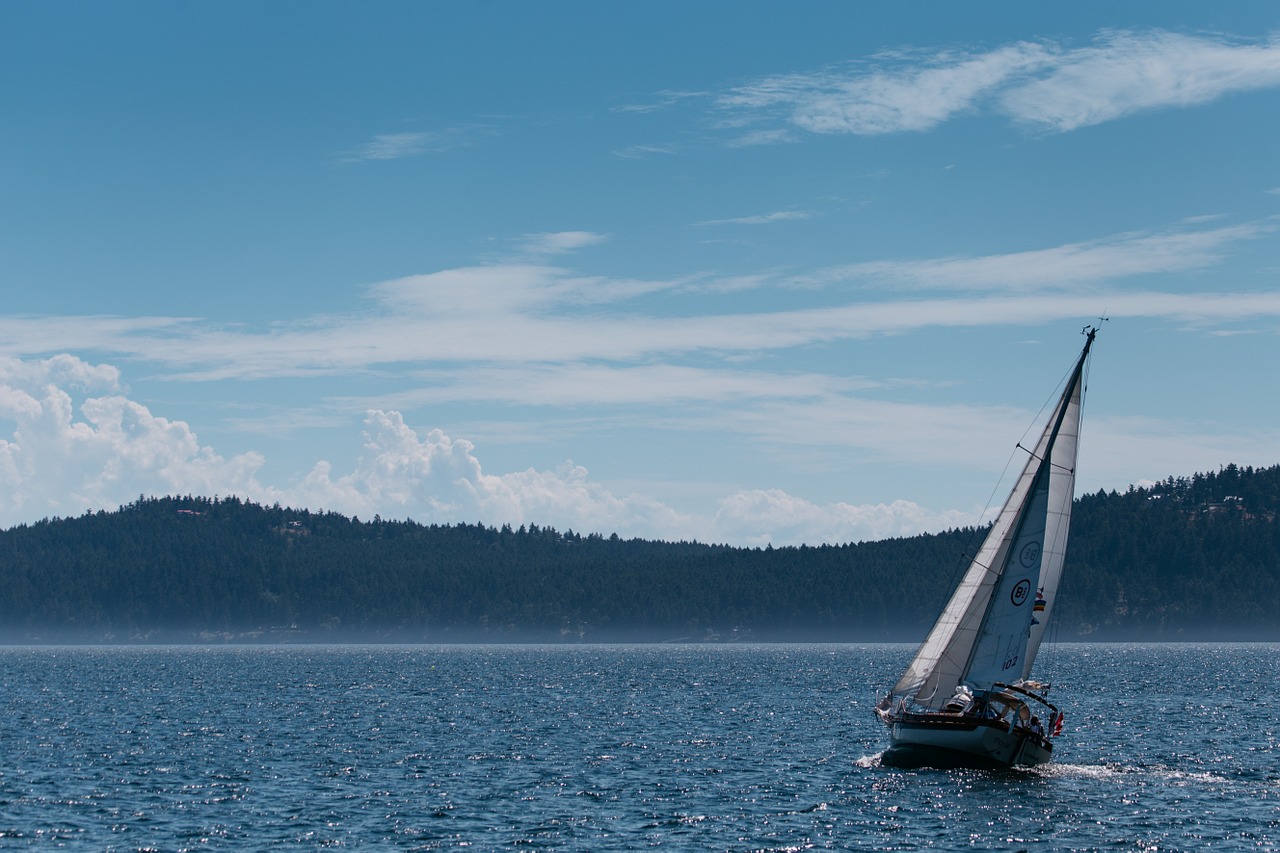 sail sailor boat free photo