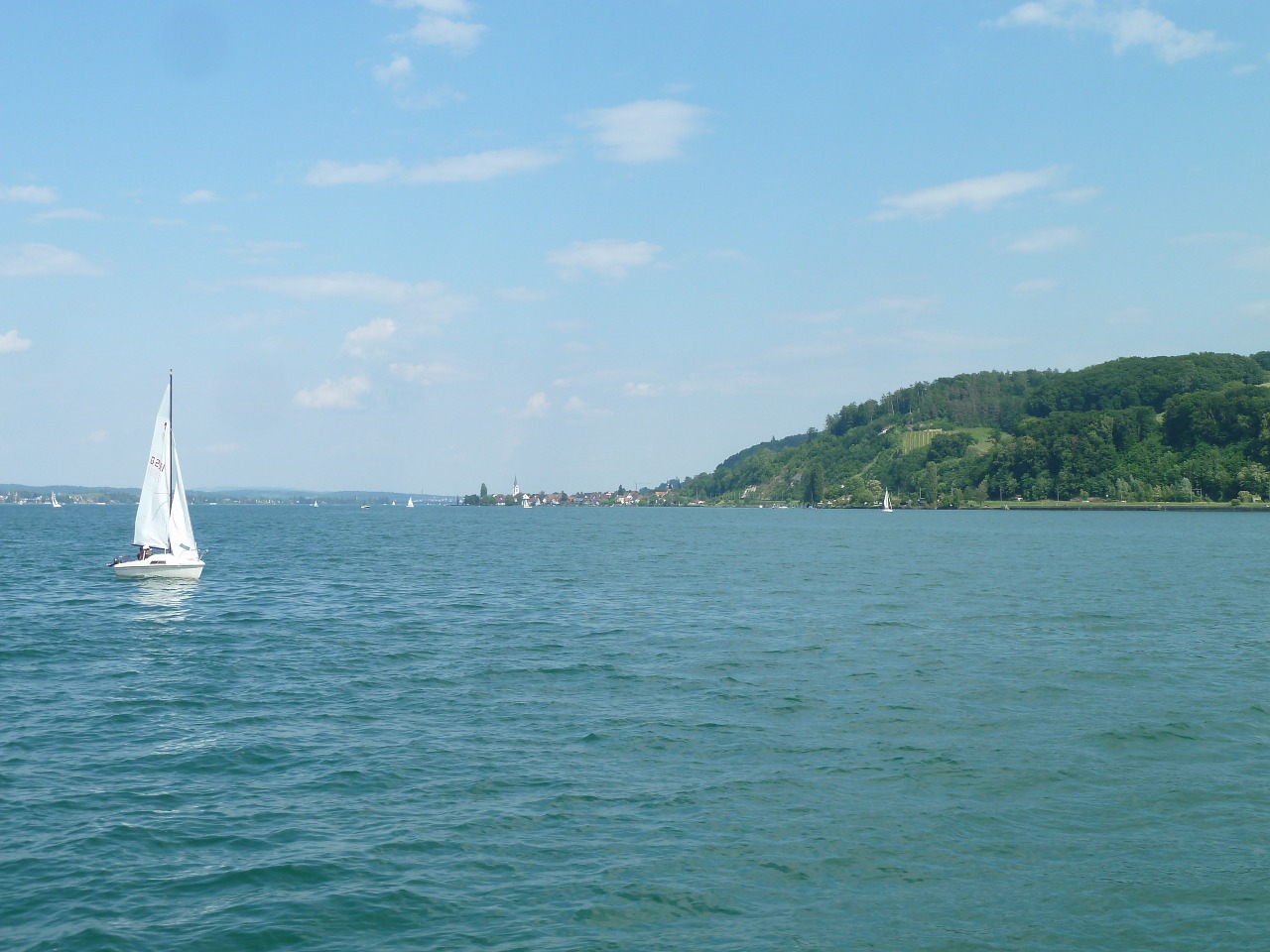 sail lake constance switzerland free photo