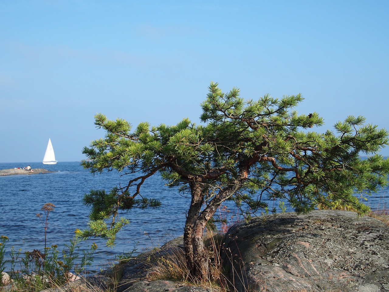 sail archipelago sweden free photo