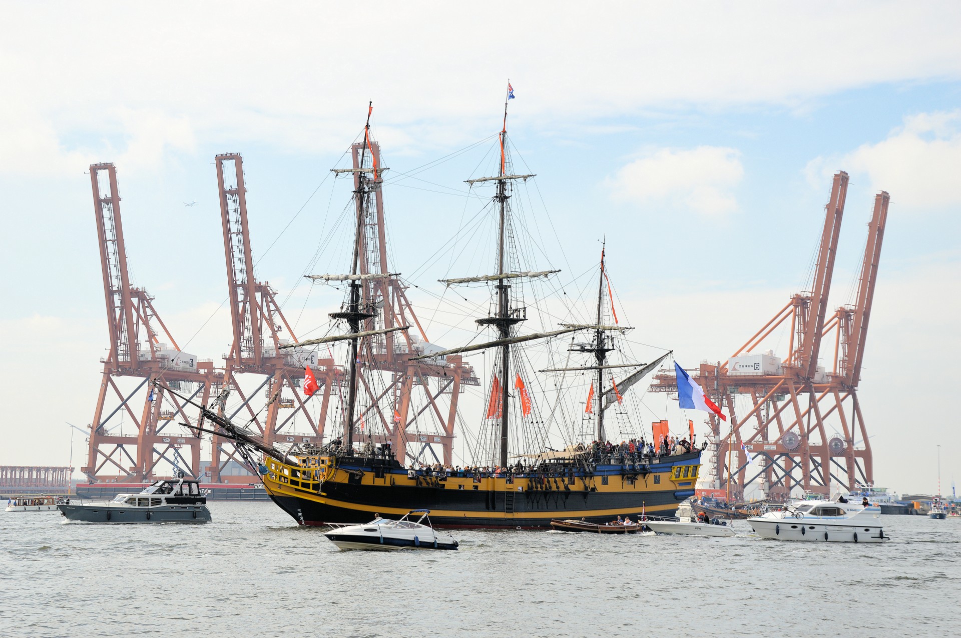 sail amsterdam holland free photo