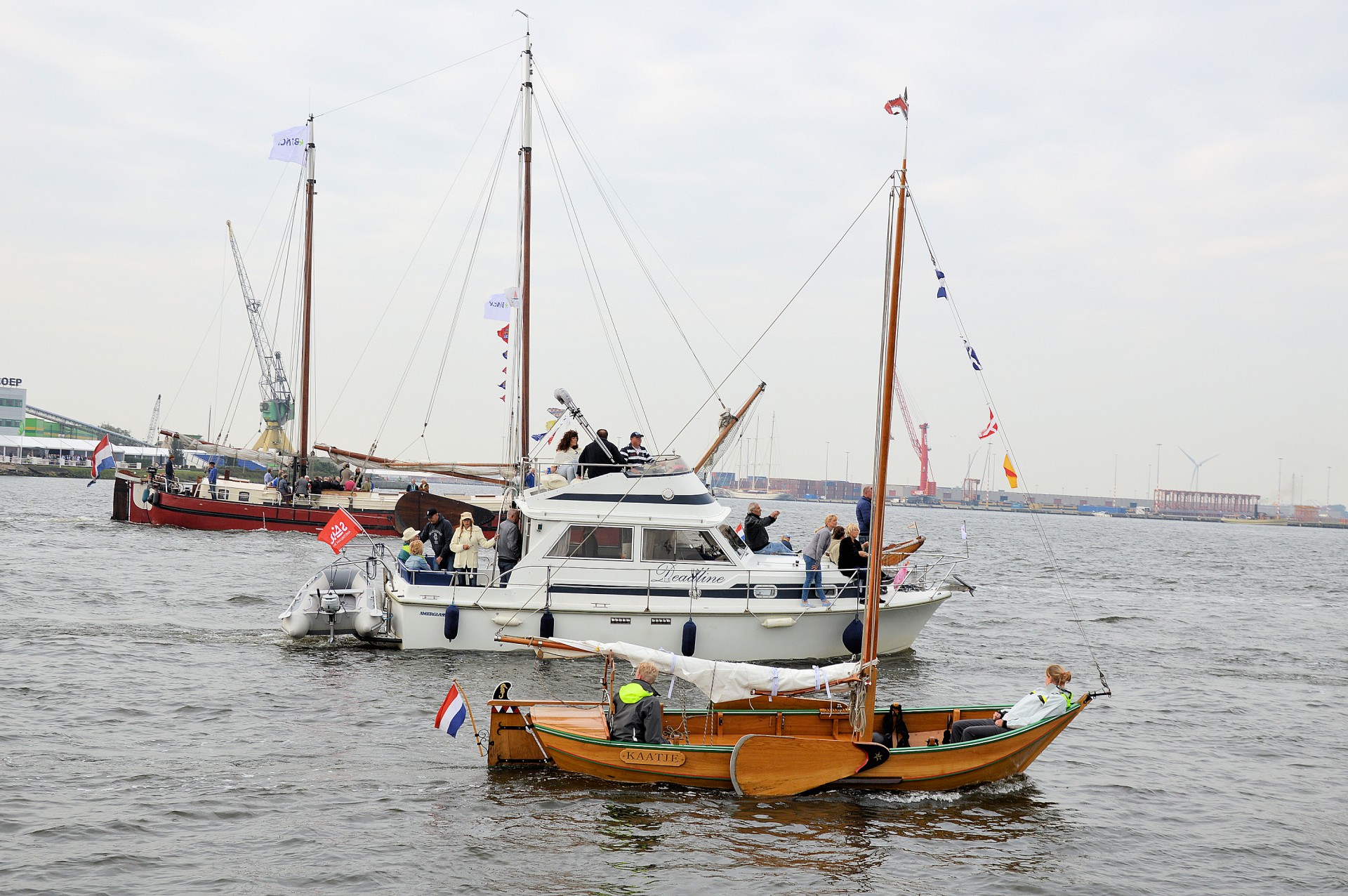 sail amsterdam holland free photo