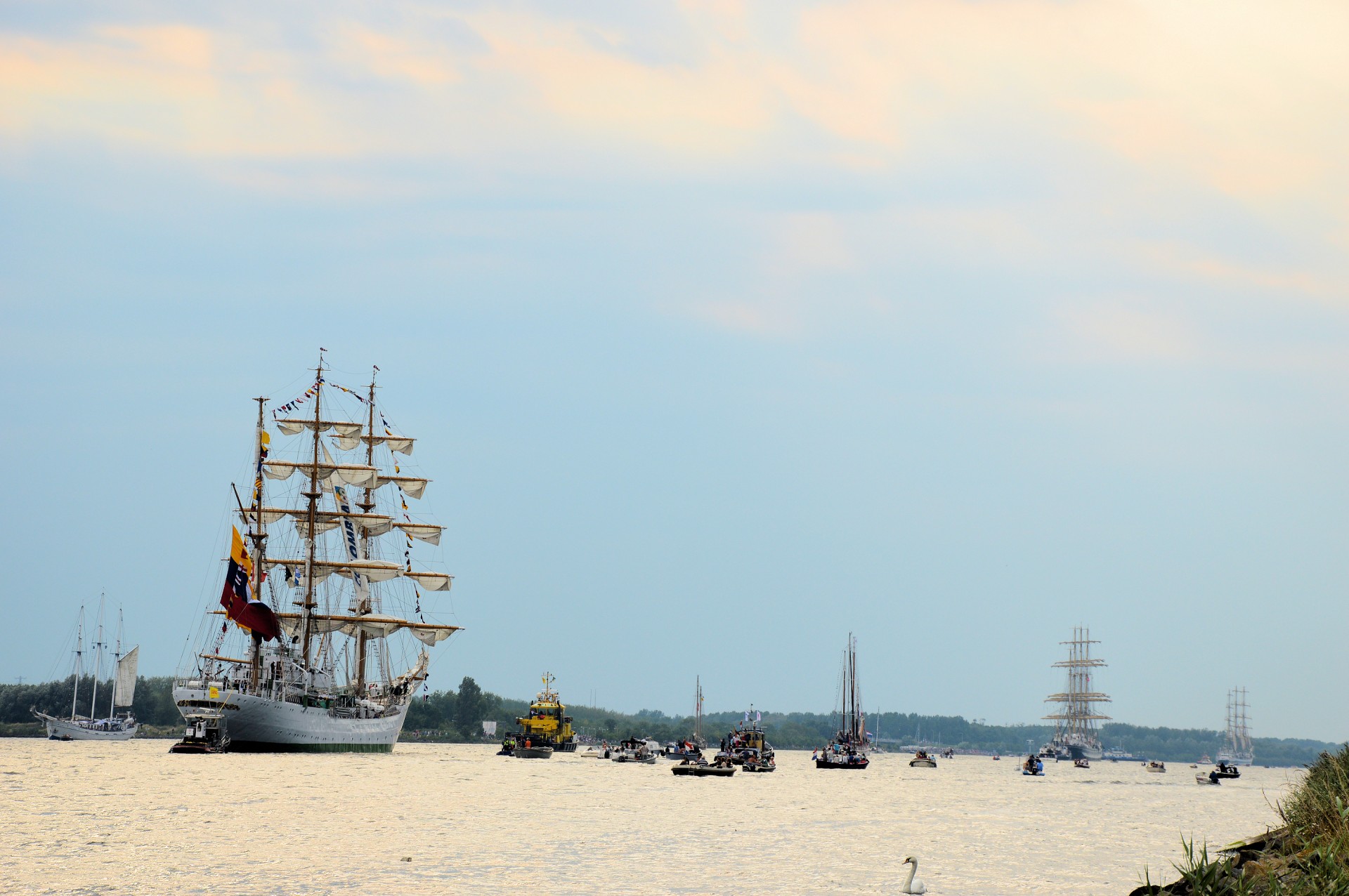 sail amsterdam holland free photo