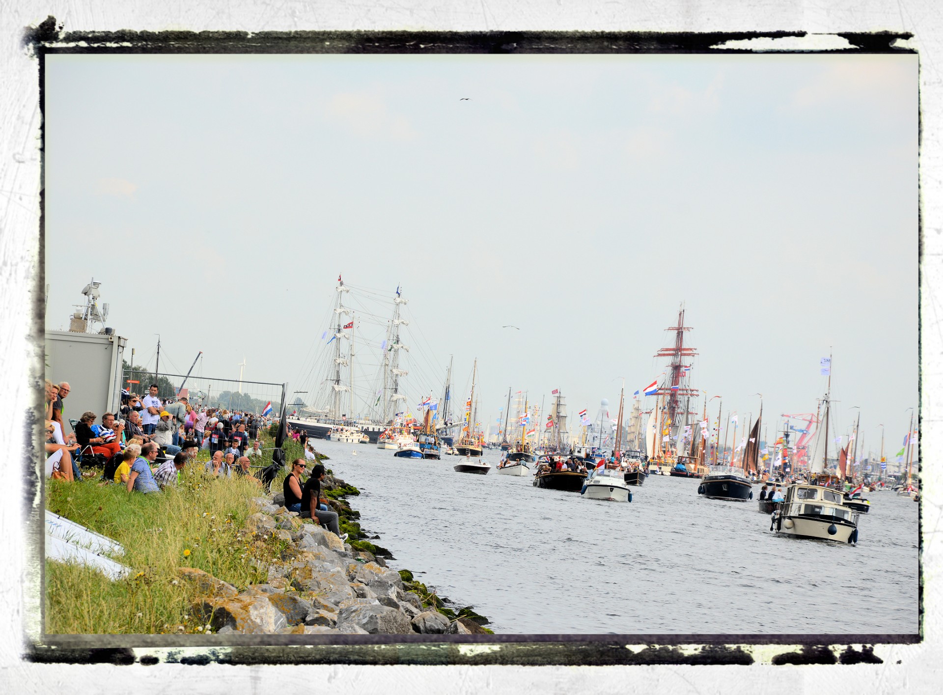 sail amsterdam holland free photo