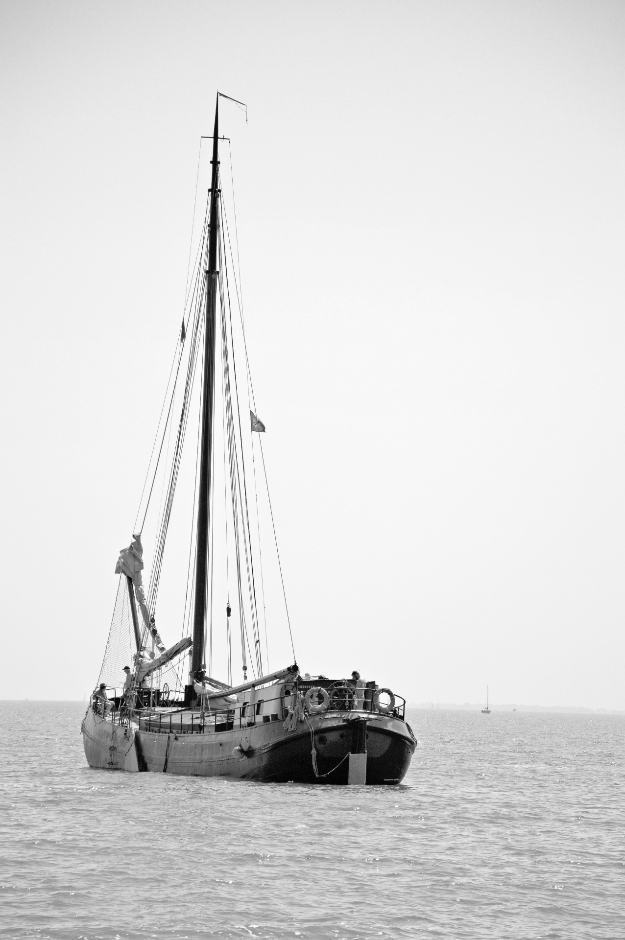 sail 2015 amsterdam free photo