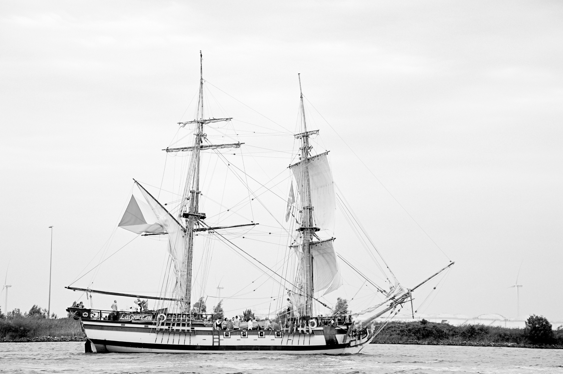 sail 2015 amsterdam free photo