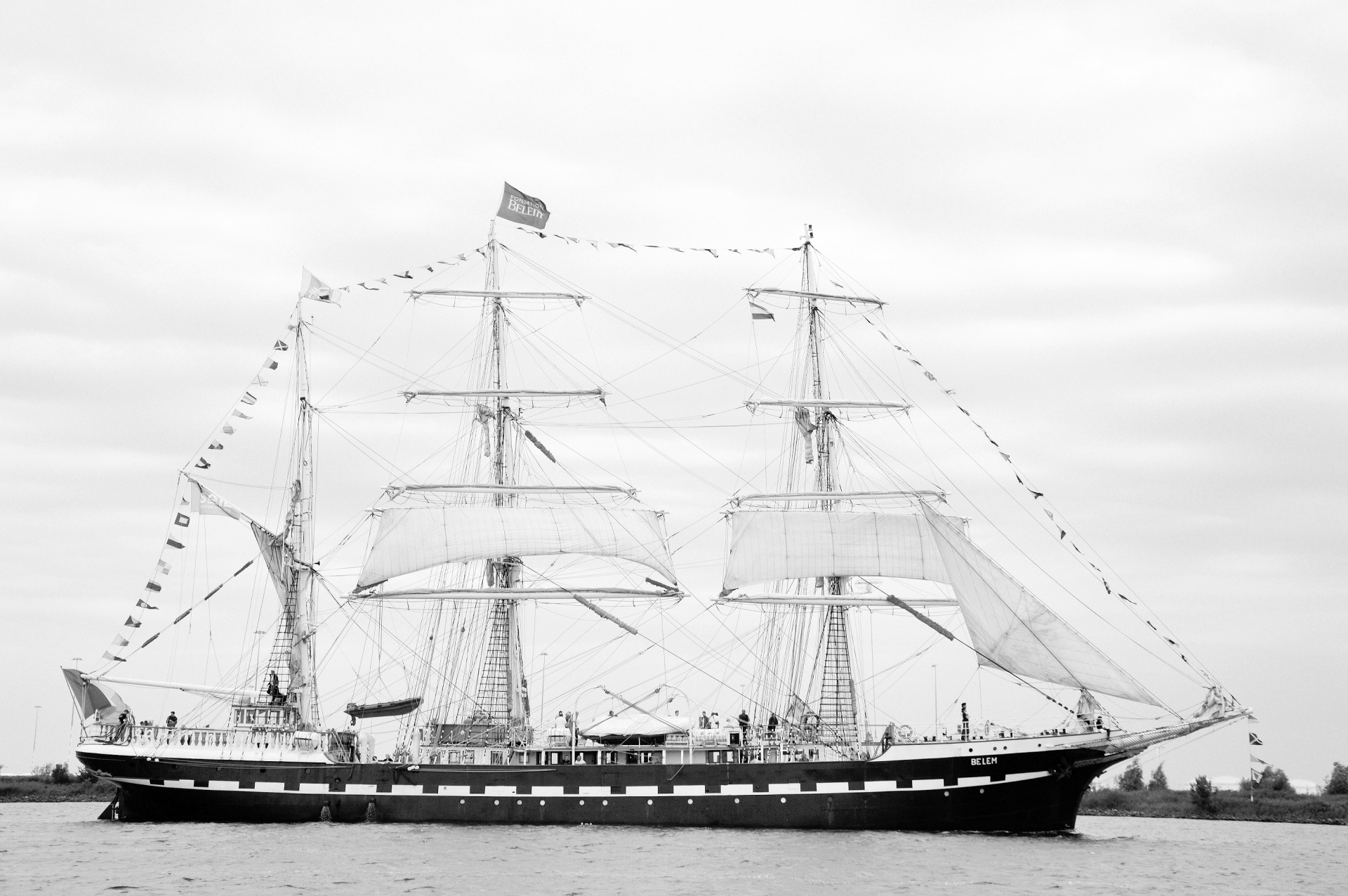 sail 2015 amsterdam free photo