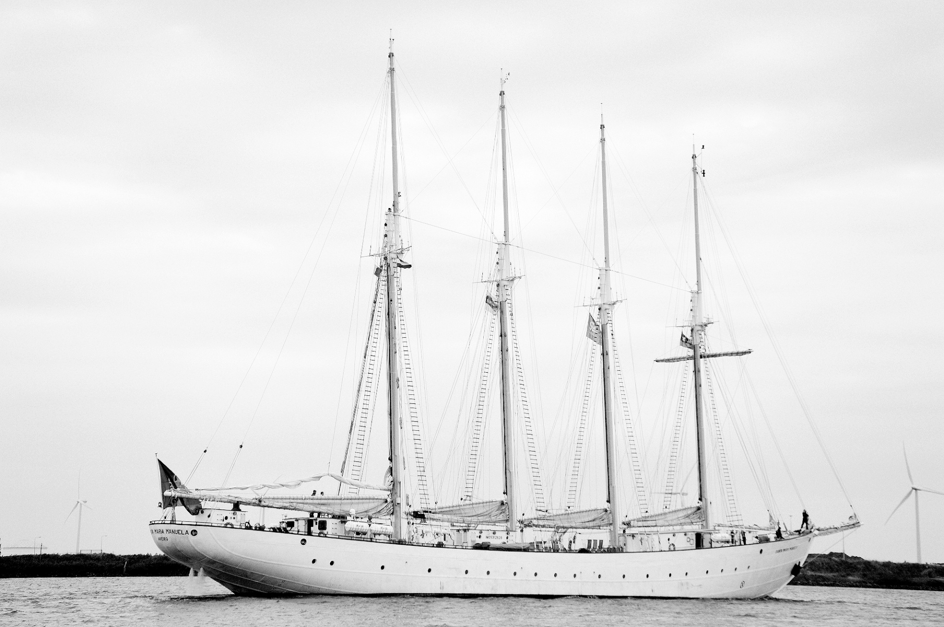 sail 2015 amsterdam free photo