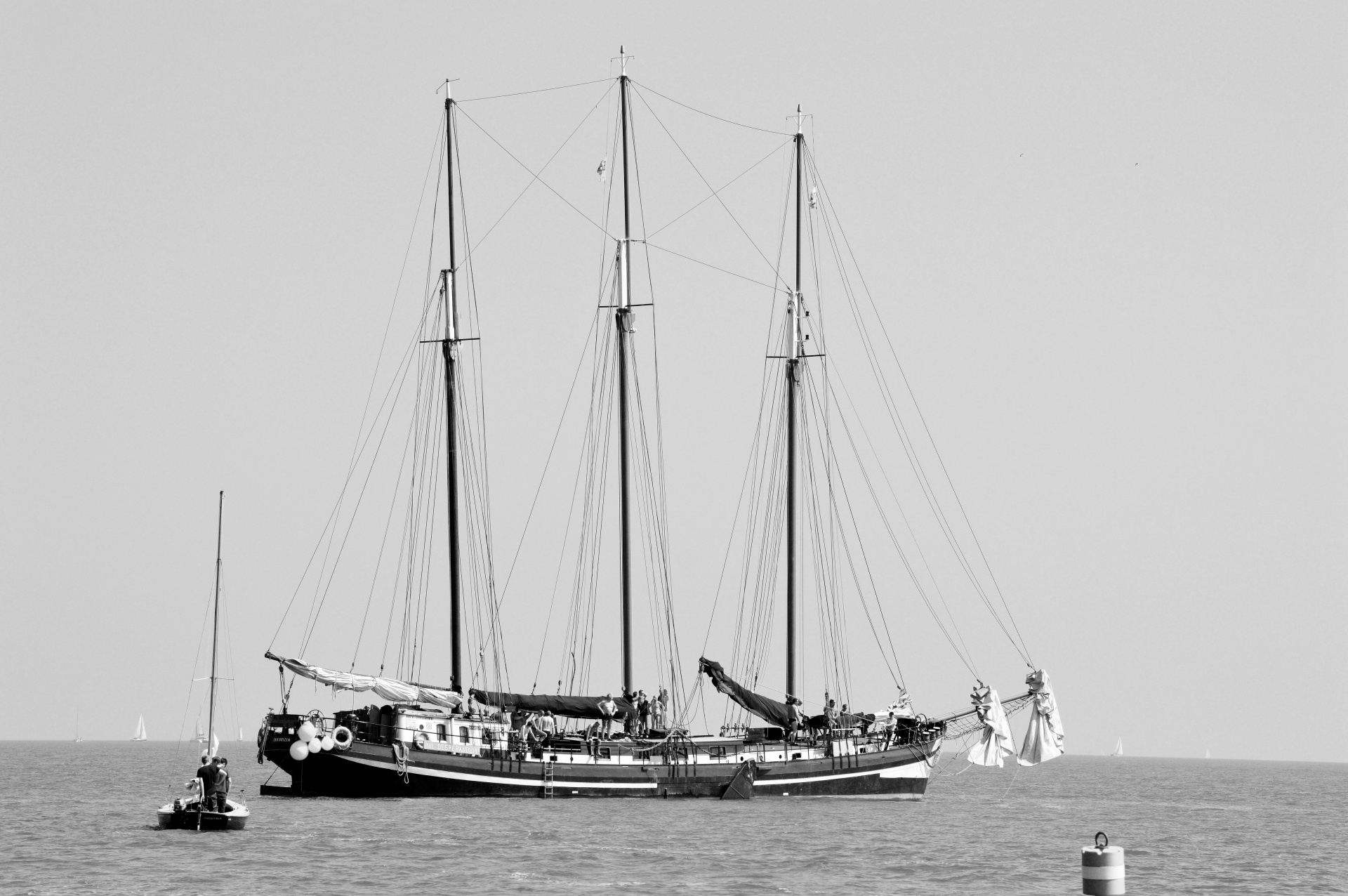 sail 2015 amsterdam free photo