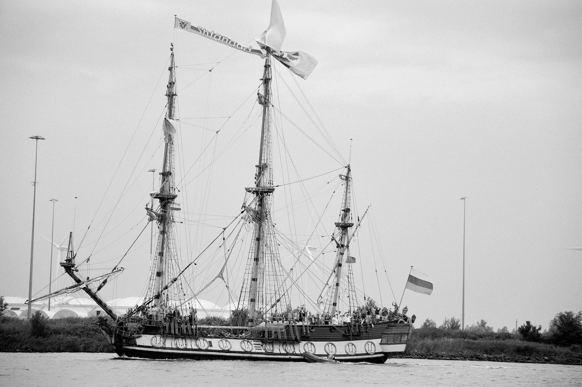 sail 2015 amsterdam free photo