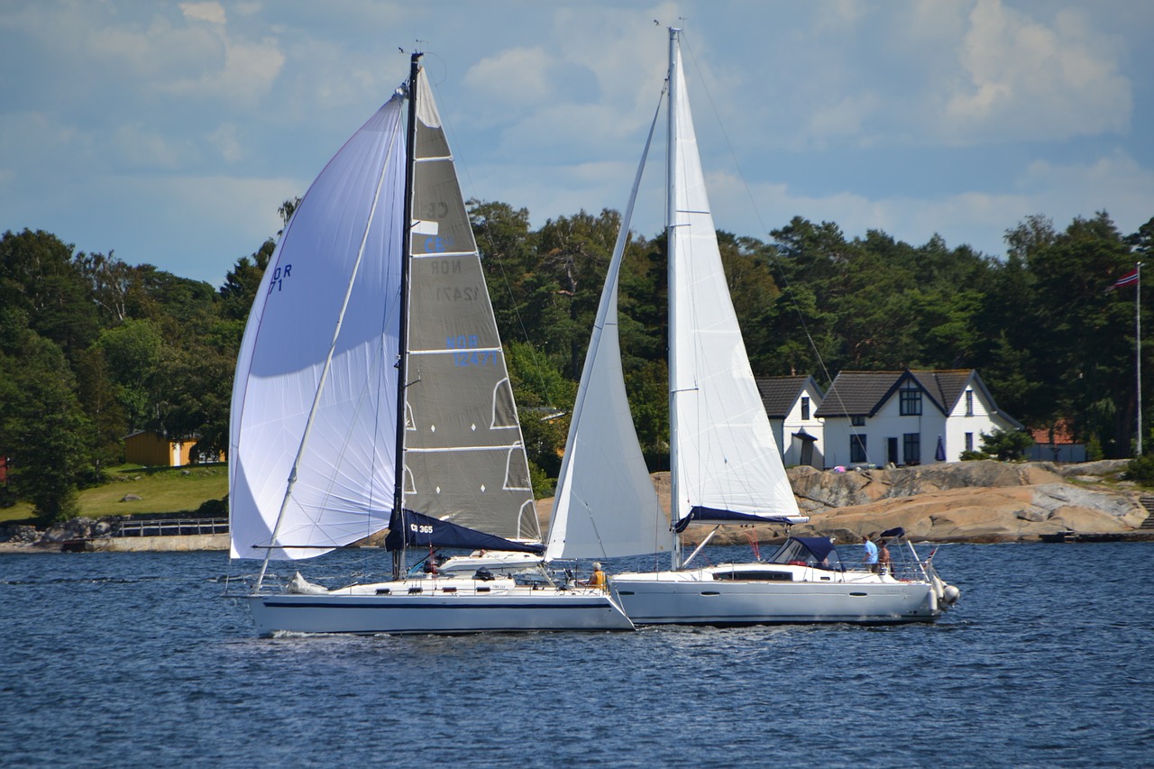 sail boat sea norway free photo