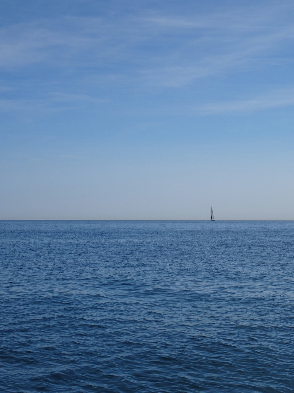 sail boat sea calm free photo