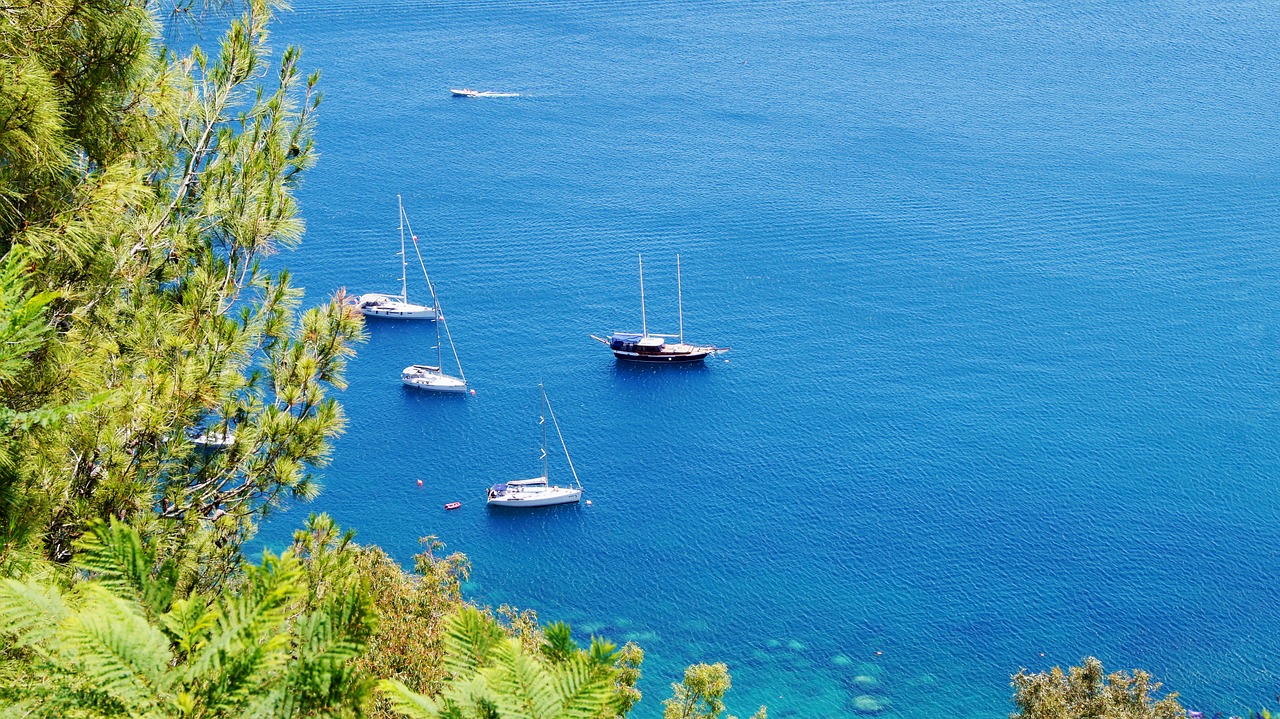 sailboat sea water free photo