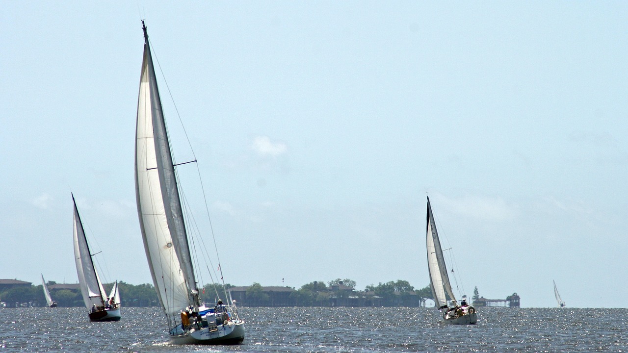 sailboat boats sea free photo