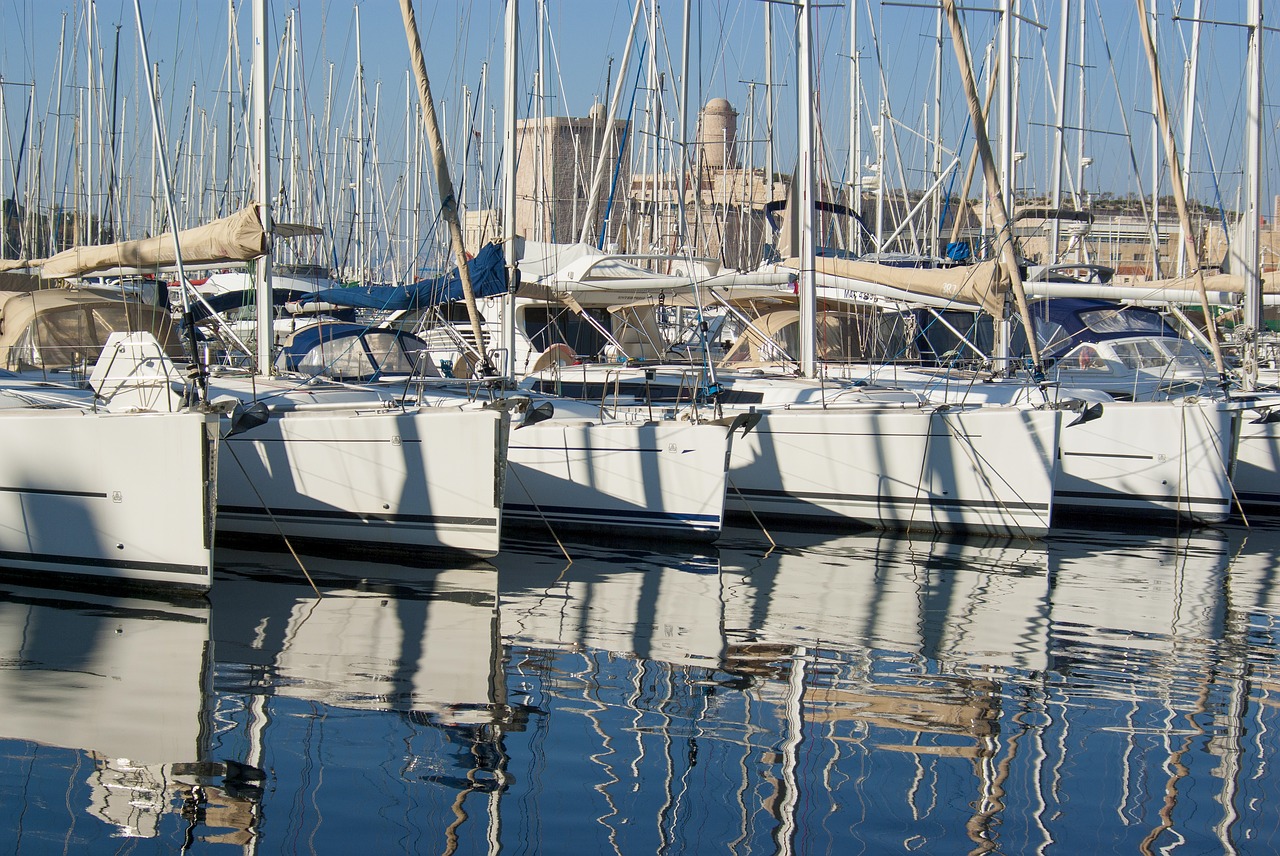 sailboat boat harbour free photo