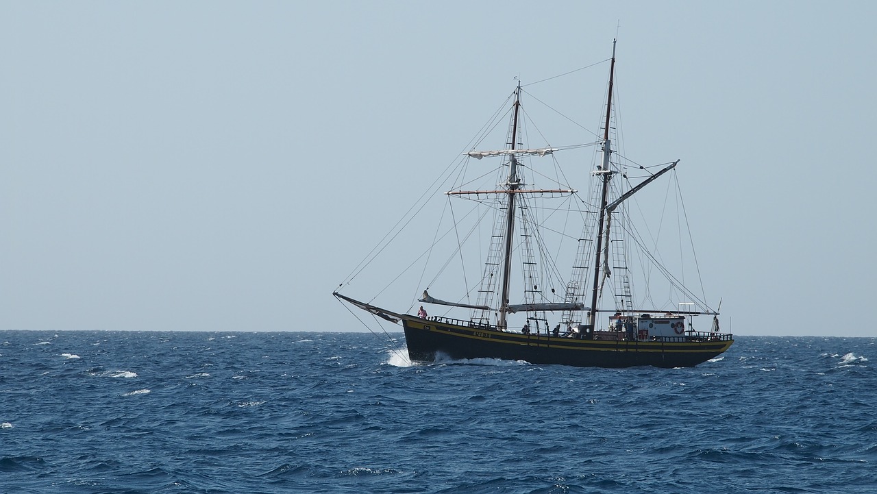 sailboat sailing ship sea free photo