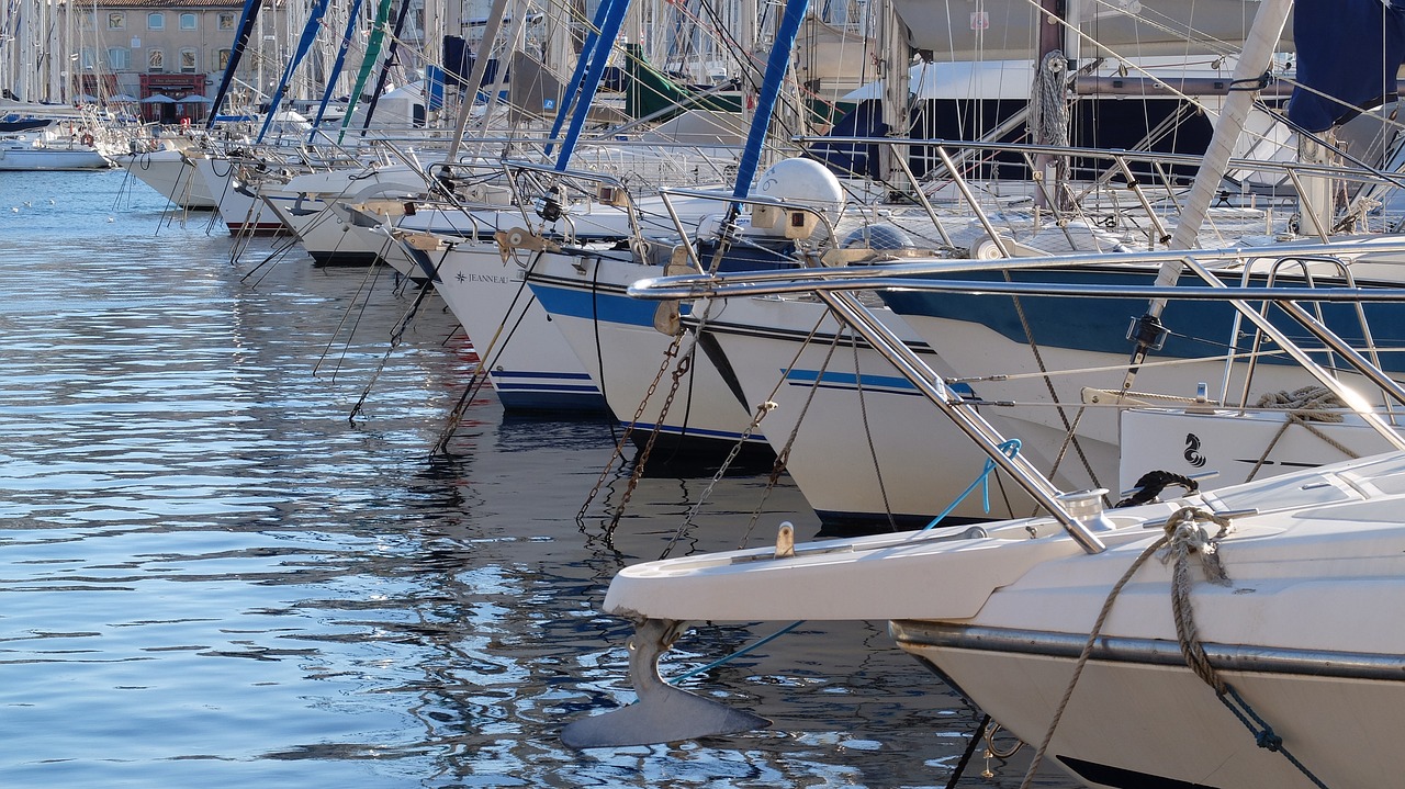 sailboat sail harbor free photo