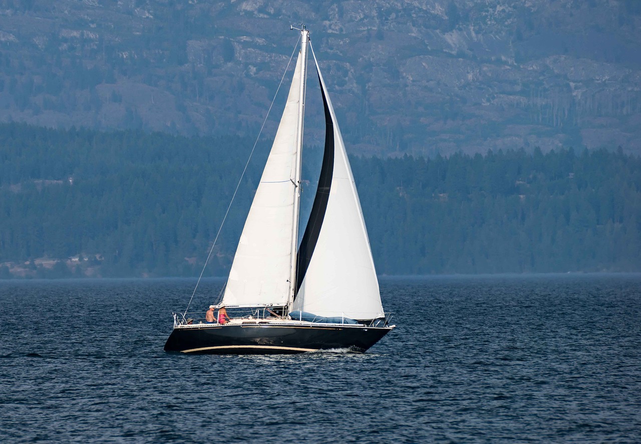 sailboat sailing sail free photo