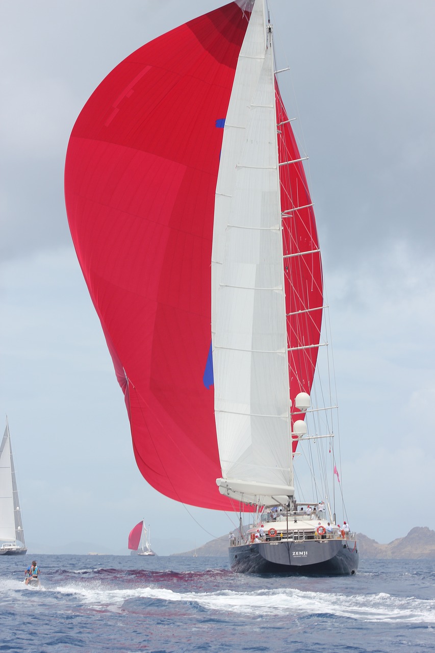sailboat boats competition free photo
