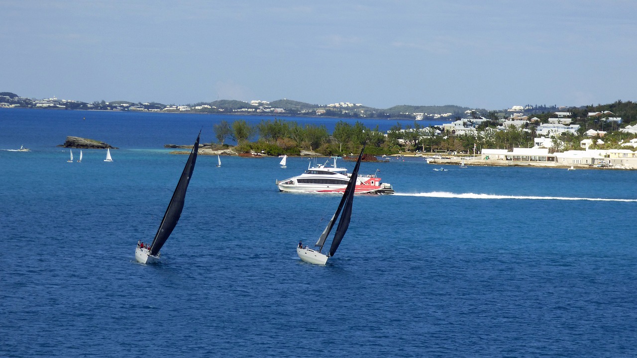 sailboat racing travel free photo